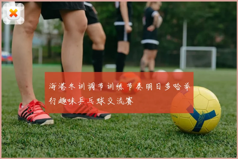 海港冬训调节训练节奏明日多哈举行趣味乒乓球交流赛