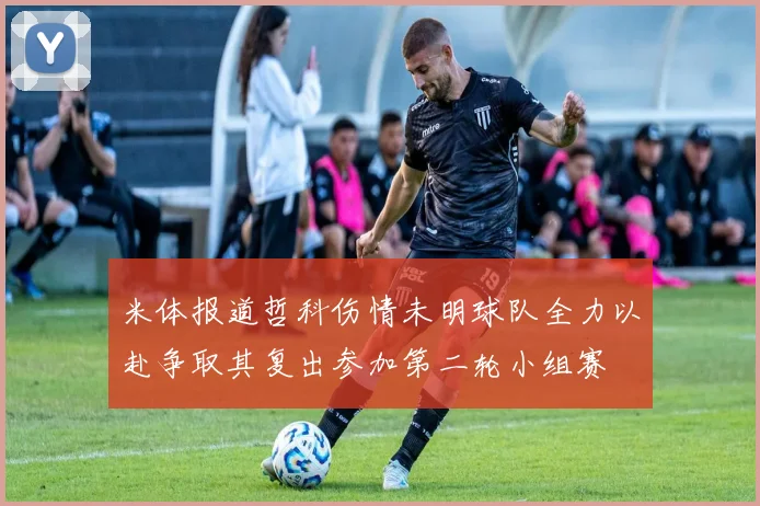 米体报道哲科伤情未明球队全力以赴争取其复出参加第二轮小组赛