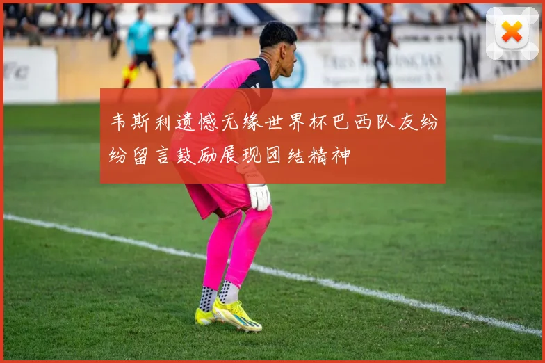韦斯利遗憾无缘世界杯巴西队友纷纷留言鼓励展现团结精神