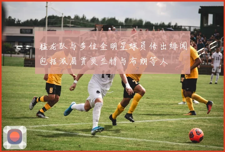猛龙队与多位全明星球员传出绯闻包括浓眉贾莫兰特与布朗等人
