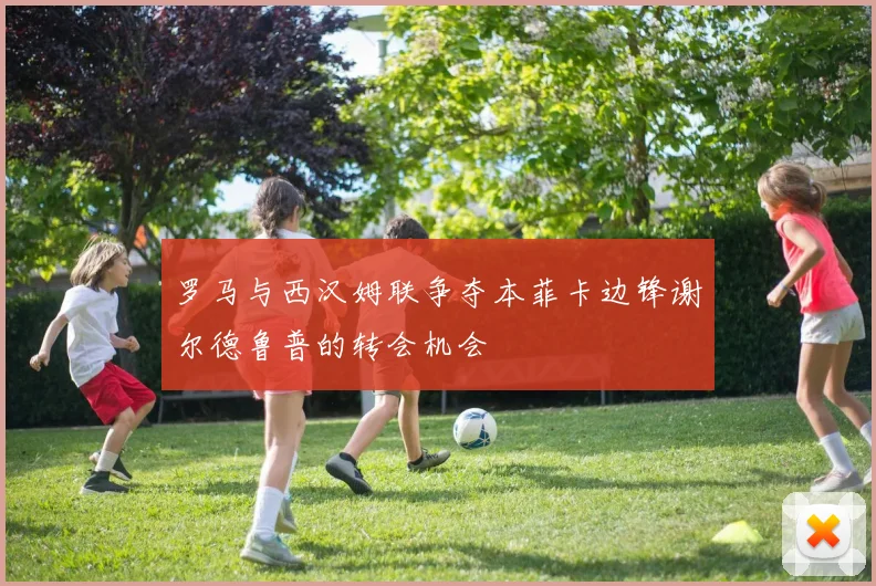 罗马与西汉姆联争夺本菲卡边锋谢尔德鲁普的转会机会